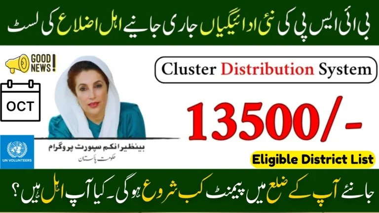 BISP 8171 October 2025 Payment – Complete Guide to the New Cluster Distribution System