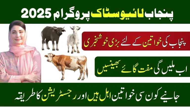 CM Punjab Free Livestock Program 2025 Phase 2 Begins Empowering Rural Women Once Again