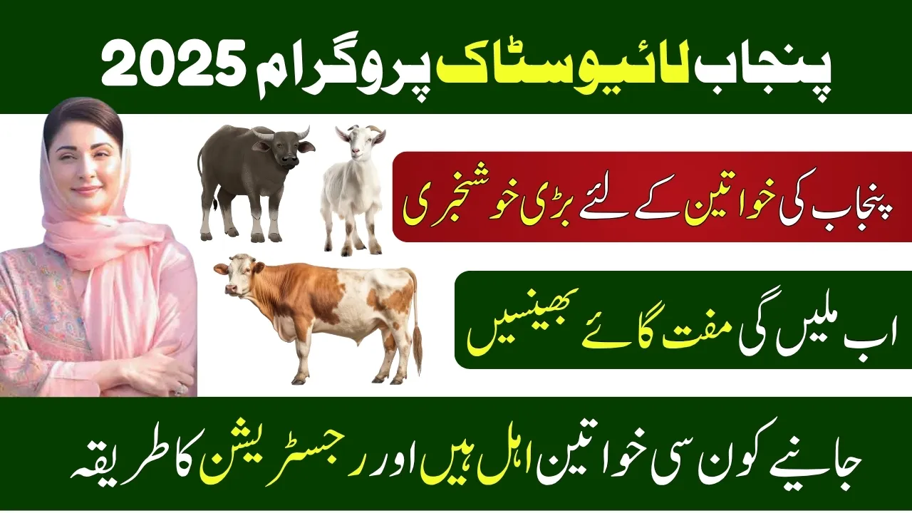 CM Punjab Livestock Program 2025 – Empowering Widowed Women Through Livelihood and Hope