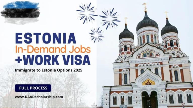 Estonia Work Visa 2025 A Golden Chance for Pakistanis to Work and Live in Europe