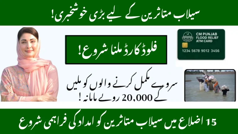 Punjab’s Flood Relief Cards A Lifeline for Affected Families