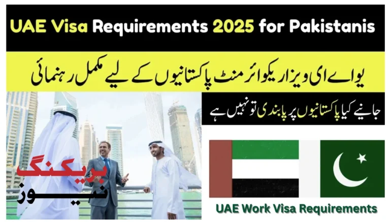 UAE Visa Application 2025 Simple Step-by-Step Guide for Pakistanis