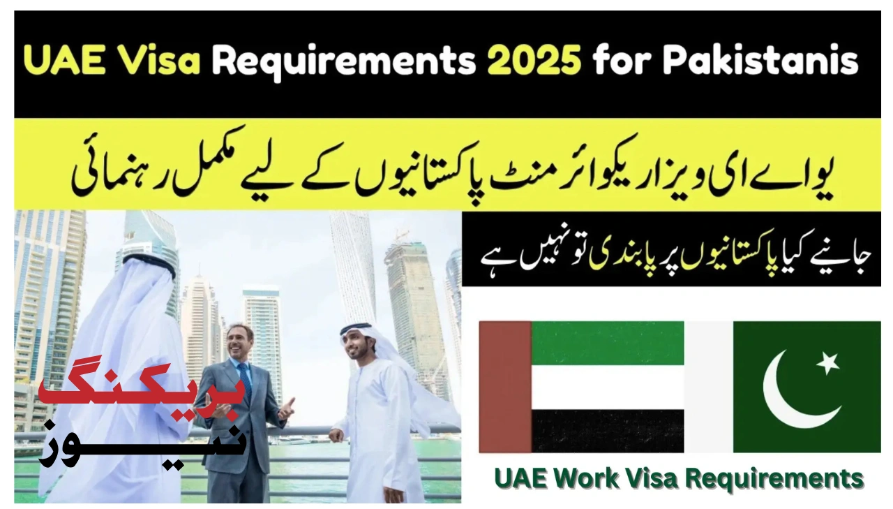 UAE Visa Application 2025 Simple Step-by-Step Guide for Pakistanis
