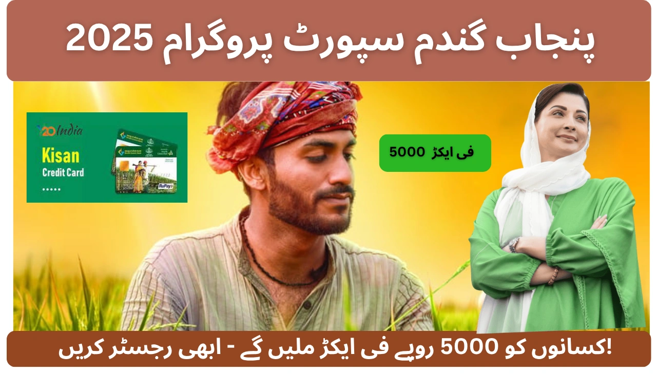 Punjab Wheat Support Program 2025 Farmers to Get Rs 5000 Per Acre — Register Now!